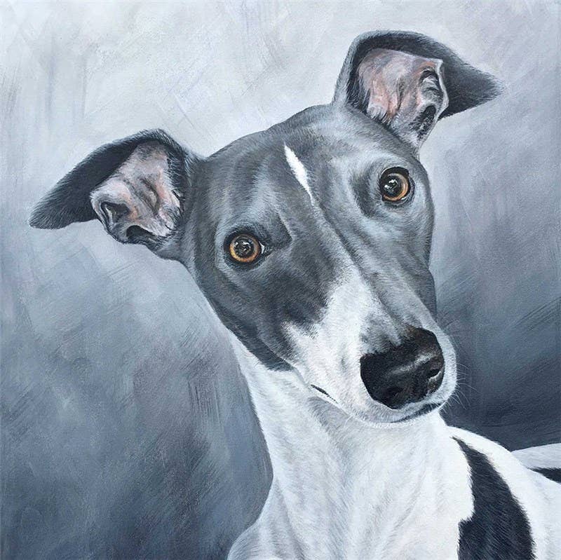 Benji Greetings Card