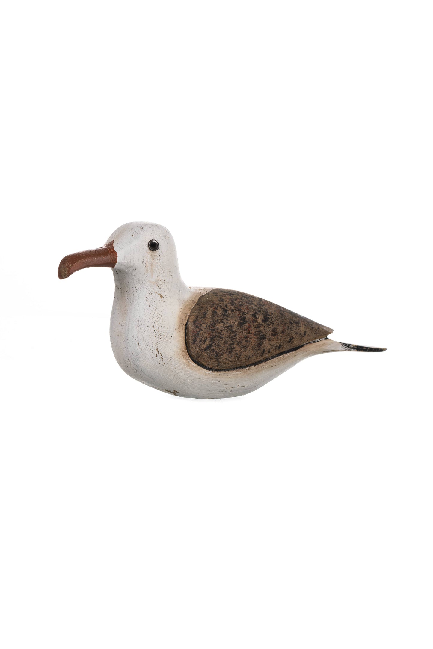Seagull: Large