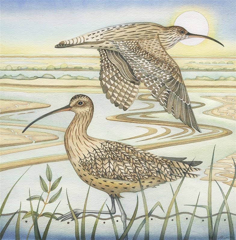 Curlews Greeting Card