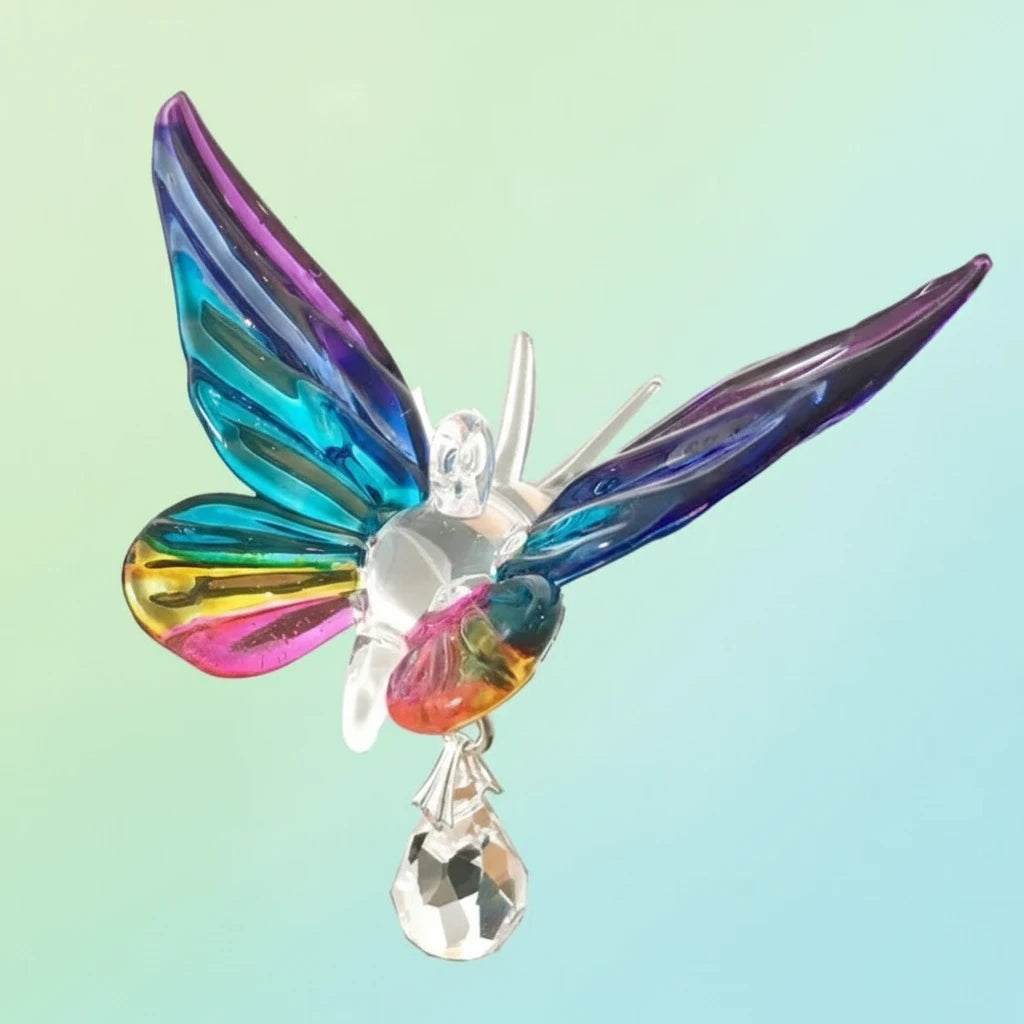 Fantasy Glass Butterfly, Tropical