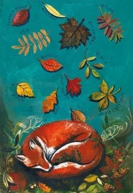 Lizzie Spikes 'Fox in Autumn Leaves' Greetings Card