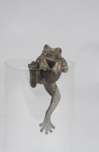 Frog Plant Pot Hanger