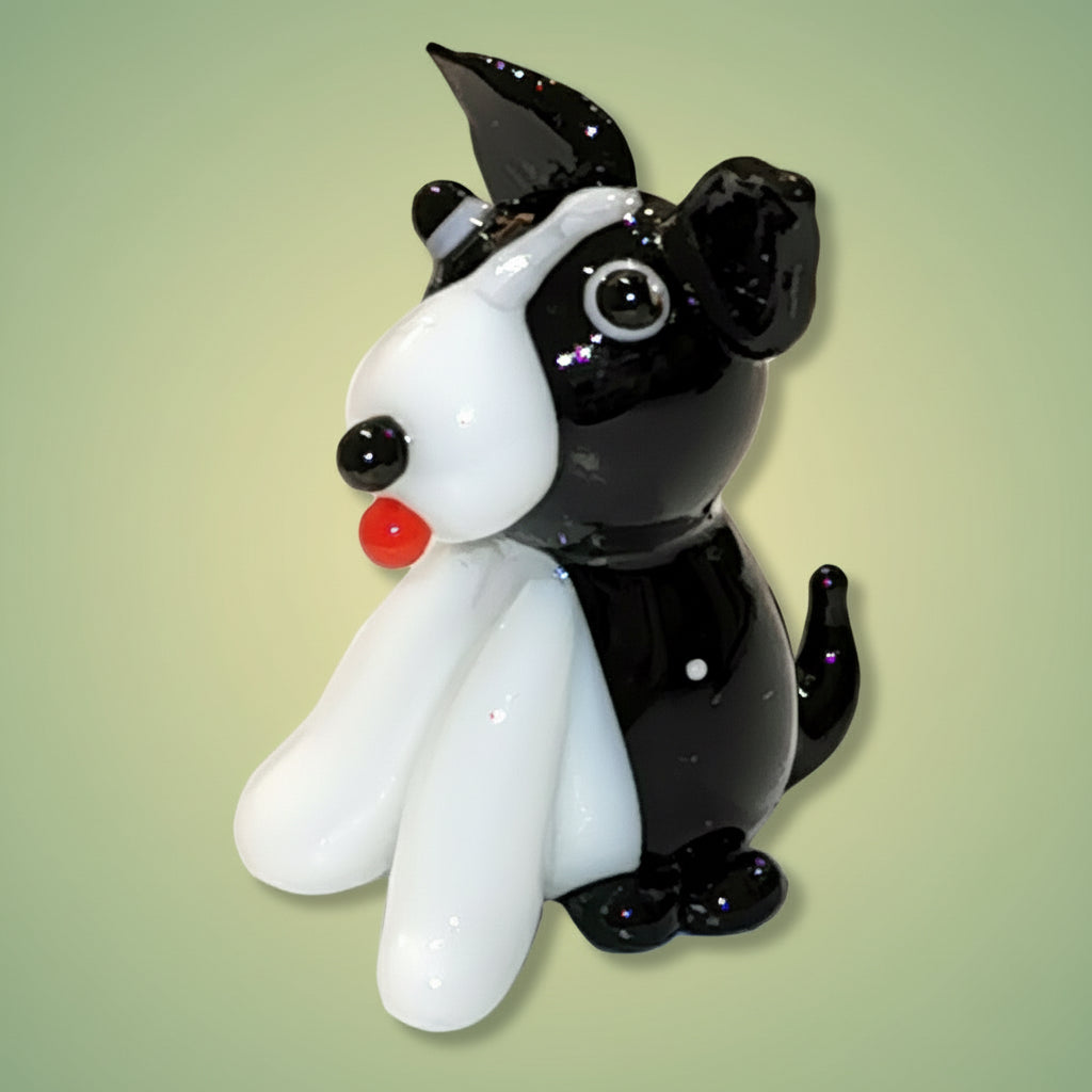 Glass Boarder Collie with Red Tongue