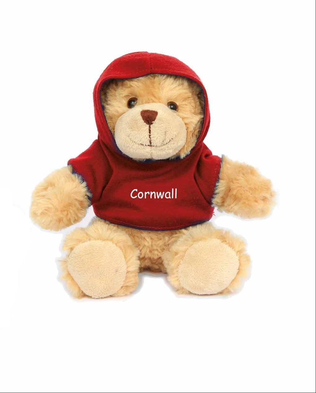 Soft Teddy with Red Hoodie