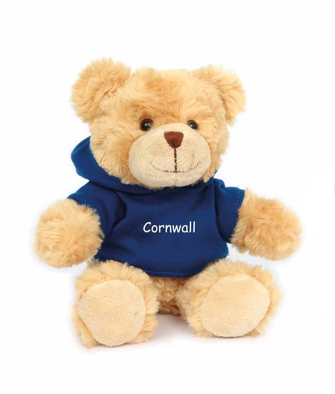 Soft Teddy with Blue Hoodie