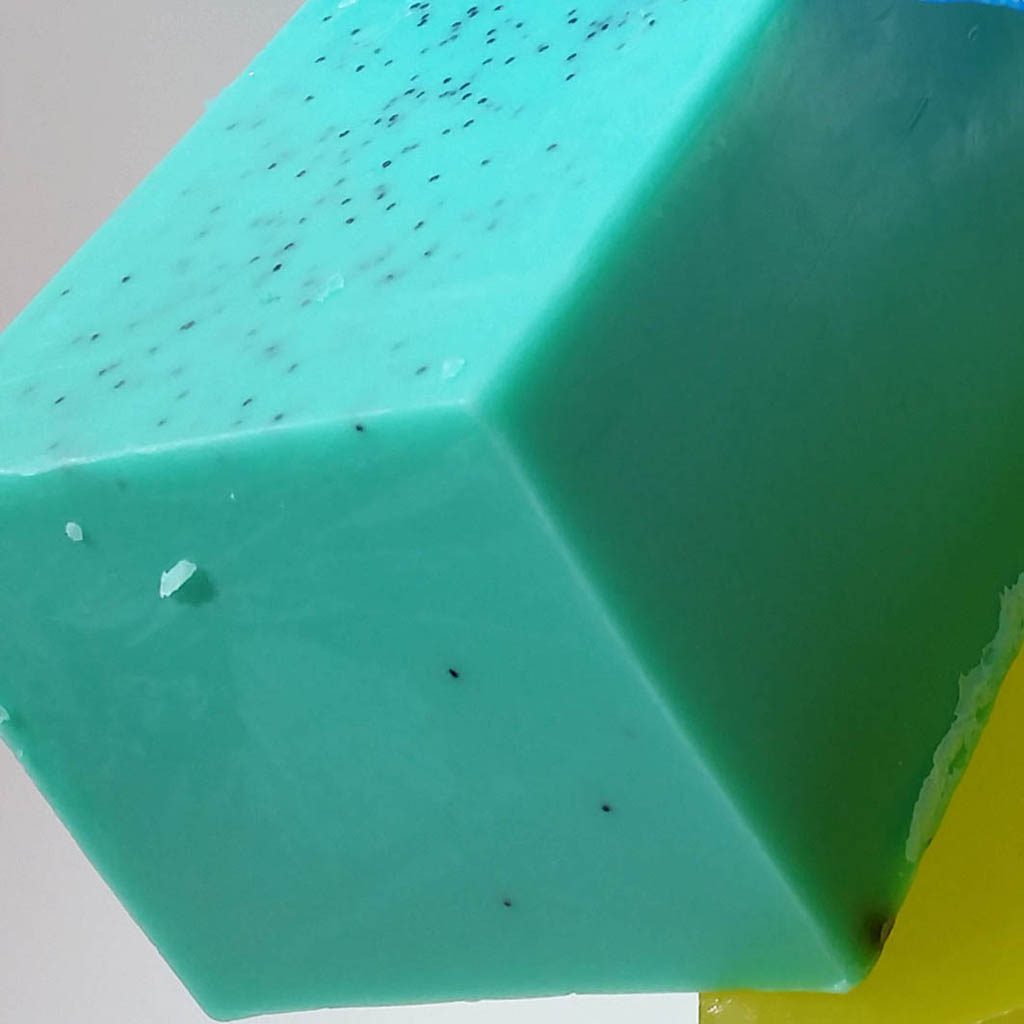 'Dirty Surfer' Aloe Vera Soap