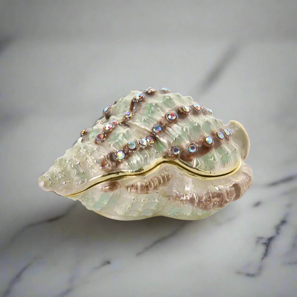 Conch Shell Treasured Trinket Box
