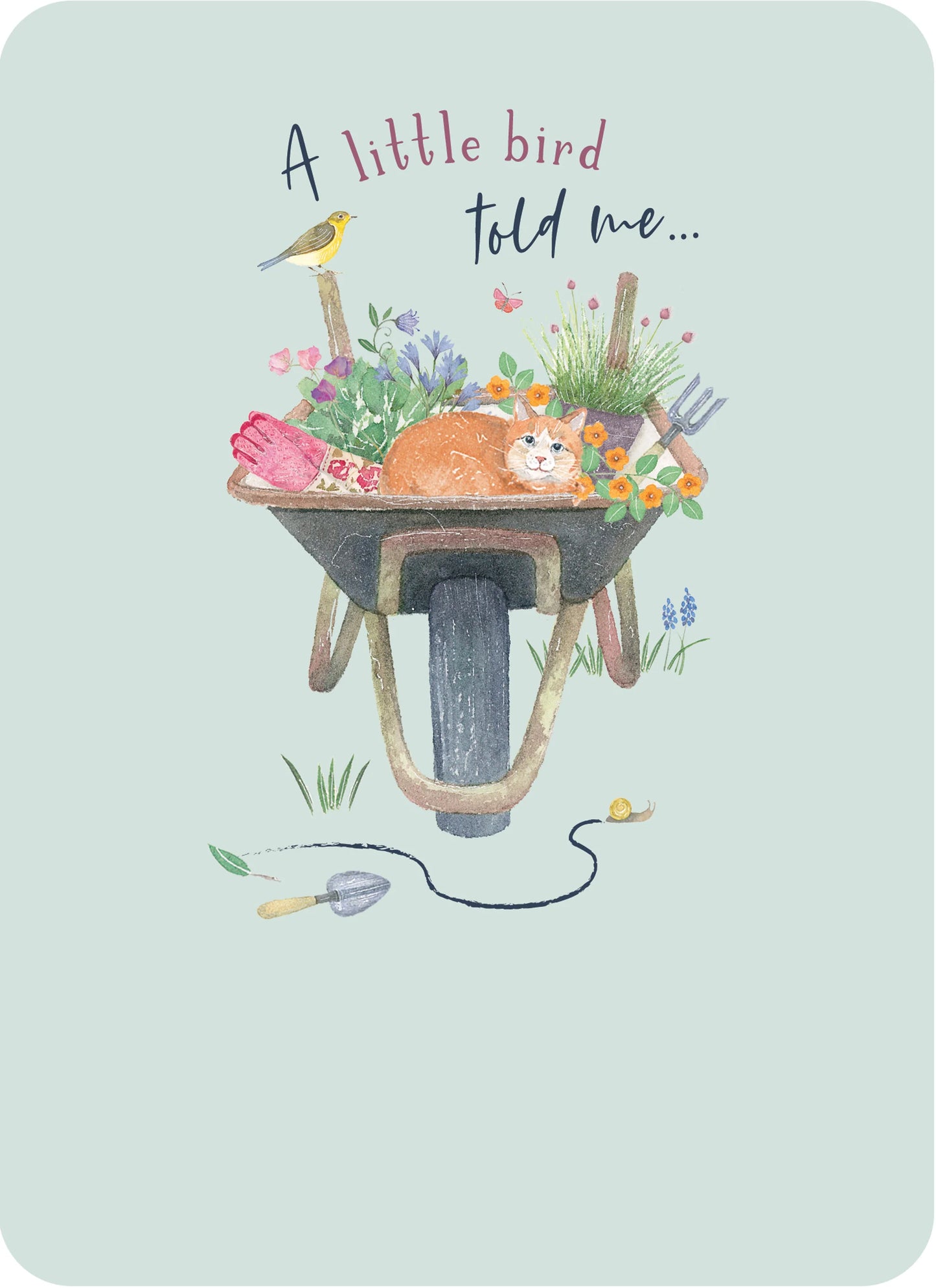 Wheelbarrow and Cat Birthday Greetings Card