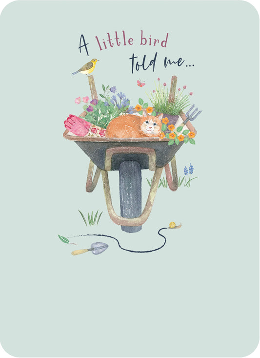 Wheelbarrow and Cat Birthday Greetings Card