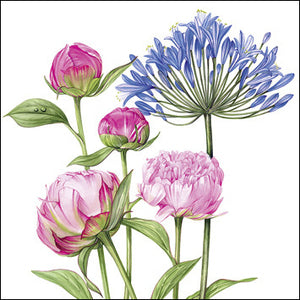 Agapanthus & Peonies Greetings Card by Billy Showell