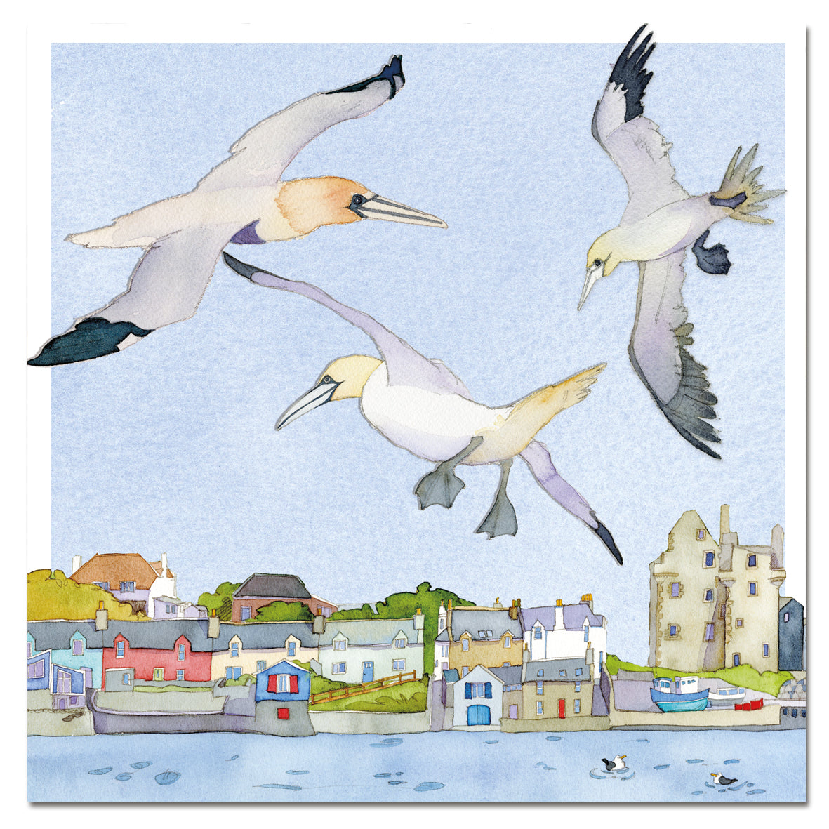 'Gannets' Greeting Card by Emma Ball