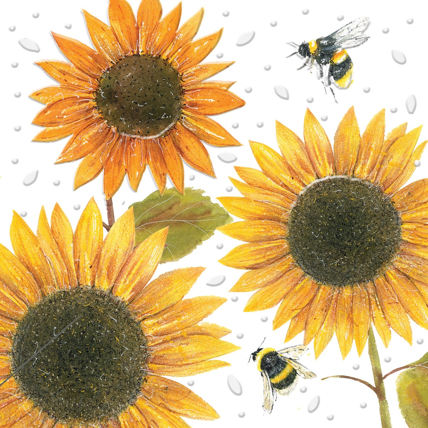Beautiful Blooms - Sunflowers