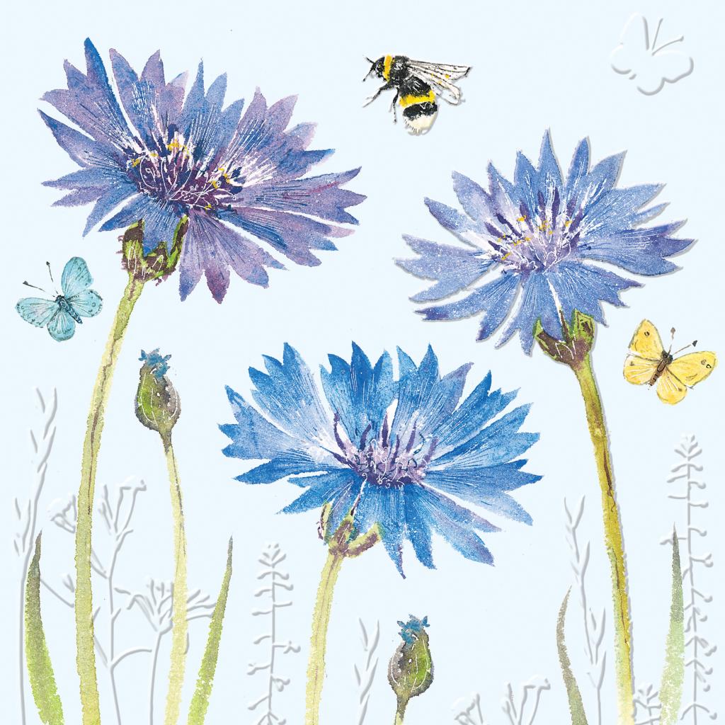 Beautiful Blooms Cornflowers