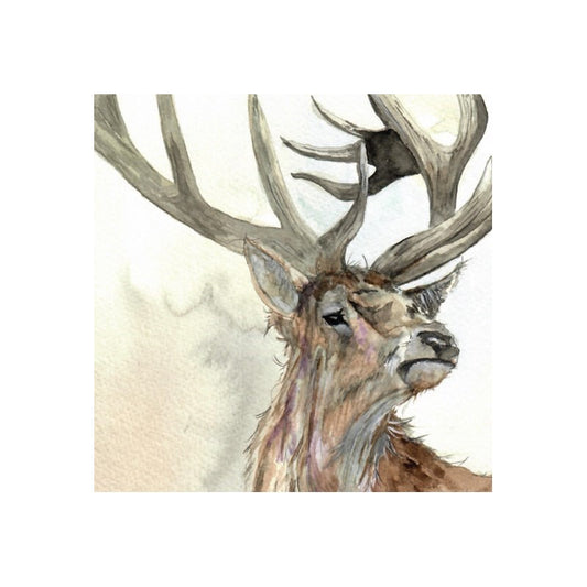 Fur & Feather 'Forest Stag' Greetings Card