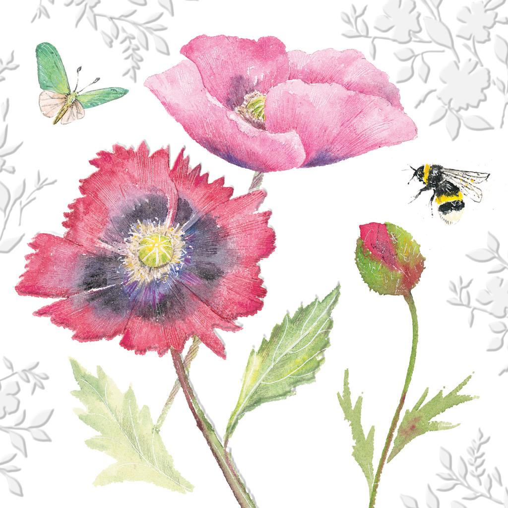 Beautiful Blooms Poppies