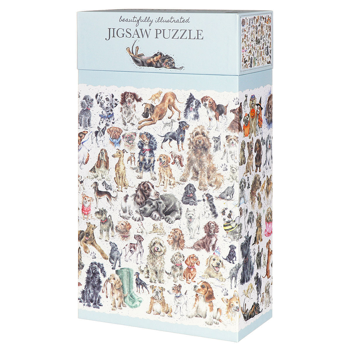 Games & Puzzles