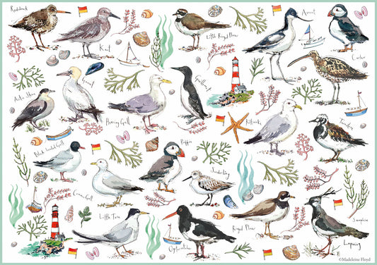 Seabirds 500 Piece Jigsaw