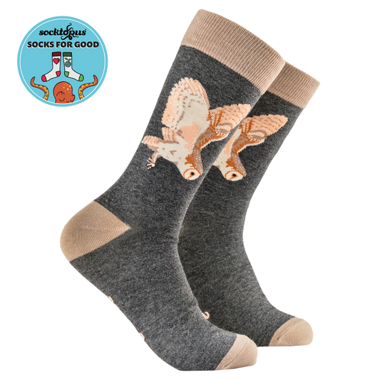 Barn Owl Socks - Socktopus x Robert E Fuller (9-12)