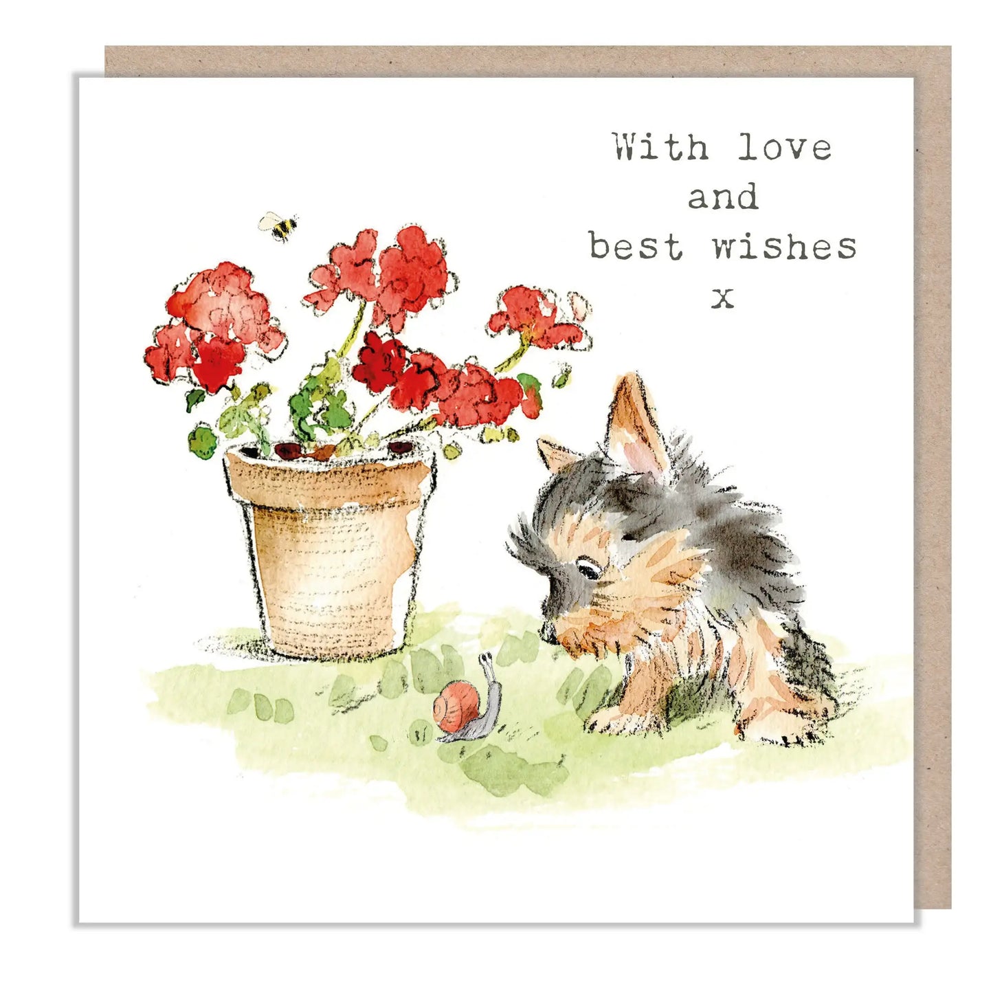 Yorkie With Snail