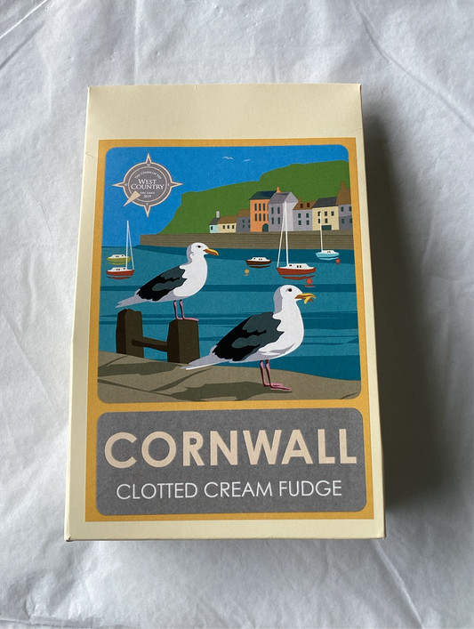 Clotted Cream Fudge Carton - Seagull 150g