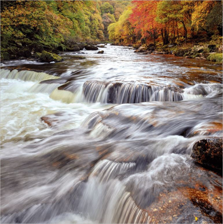 Autumn River Wildlife Trust Greetings Card