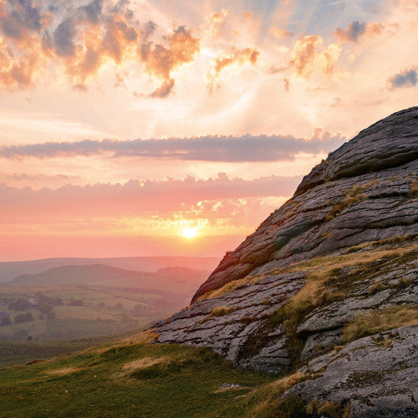 Looking West Wildlife Trust Greetings Card