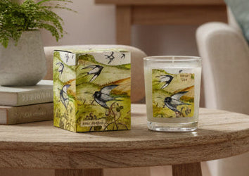 Vegan Pine, Lavendar & Cove Scented Candle, 9cl
