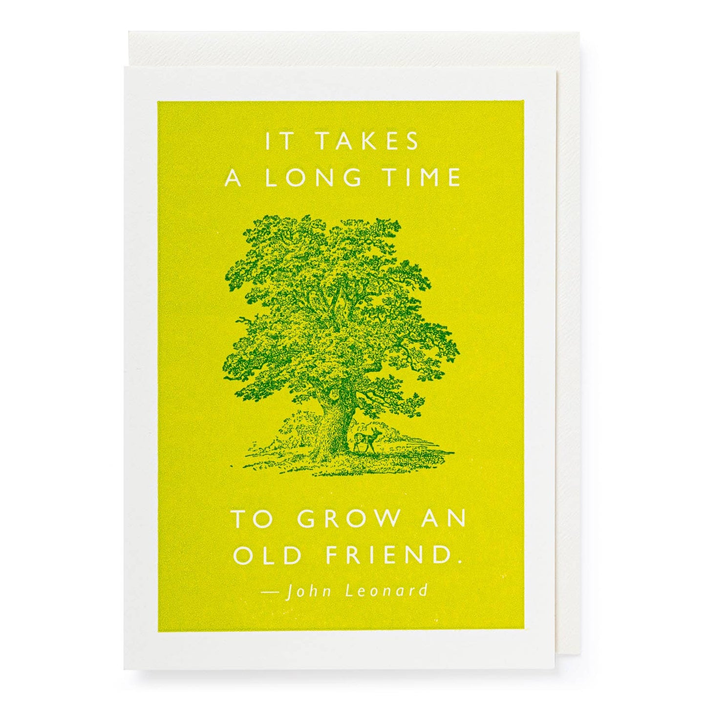 An Old Friend | Letterpress Cards | Large Cards