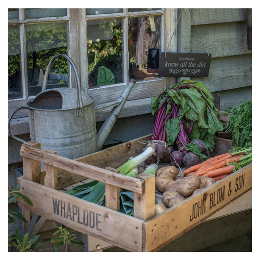 The Garden Studio Gardeners know all the Dirt Greetings Card