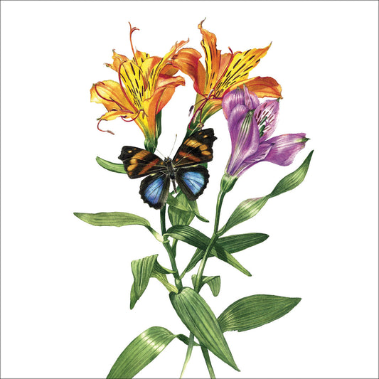 Butterfly and Flowers Greetings Card by Billy Showell