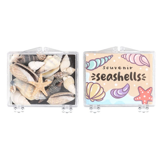 Souvenir Sea Shells