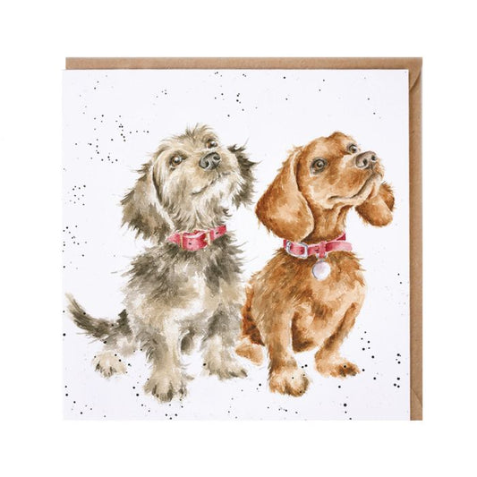 Treat Time Greetings Card