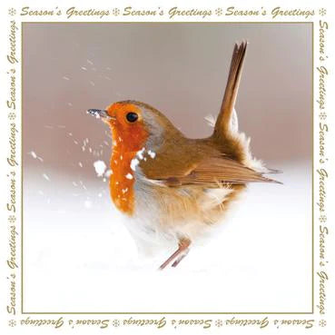 Robin in the Snow Christmas Card