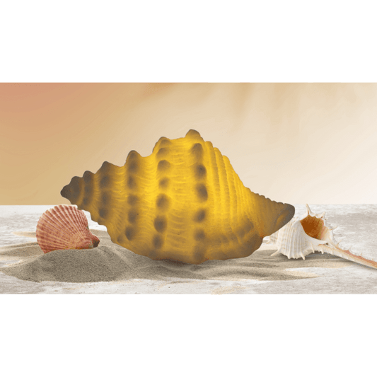 Mini Small Horse Conch Shell Lamp