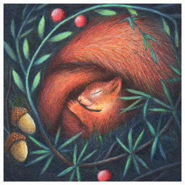 Sleeping Squirrel Greeting Card