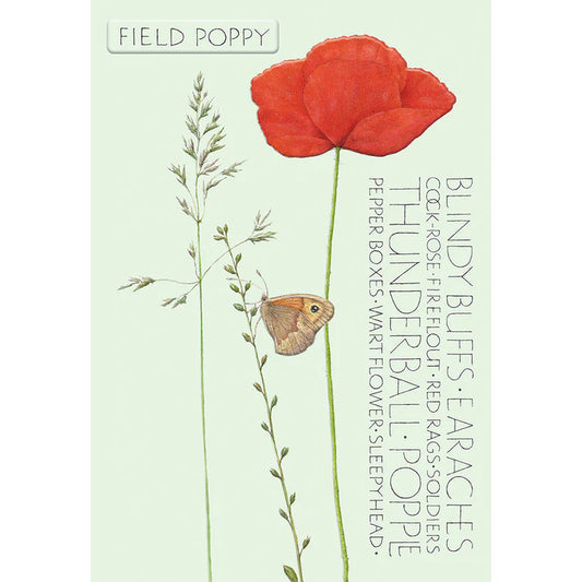Field Poppy, The Naming of Flower Greetings Card