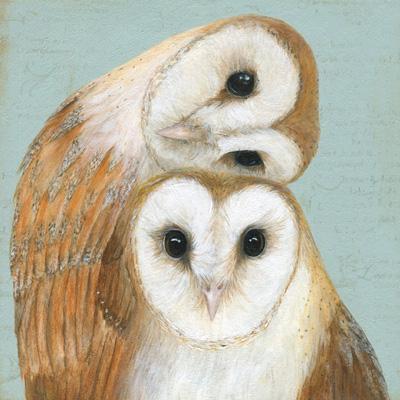 'Two Barn Owls' Greetings Card