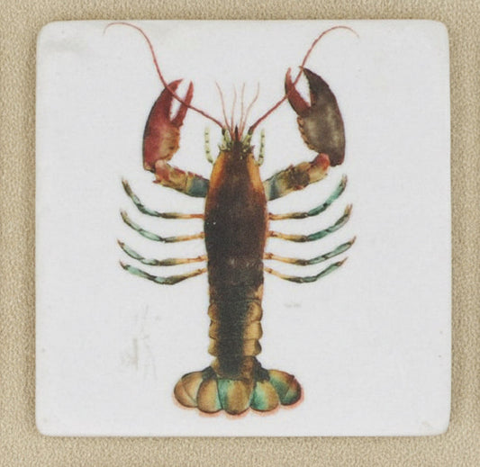 Lobster Coaster