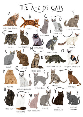 The A - Z of Cats Greetings Card