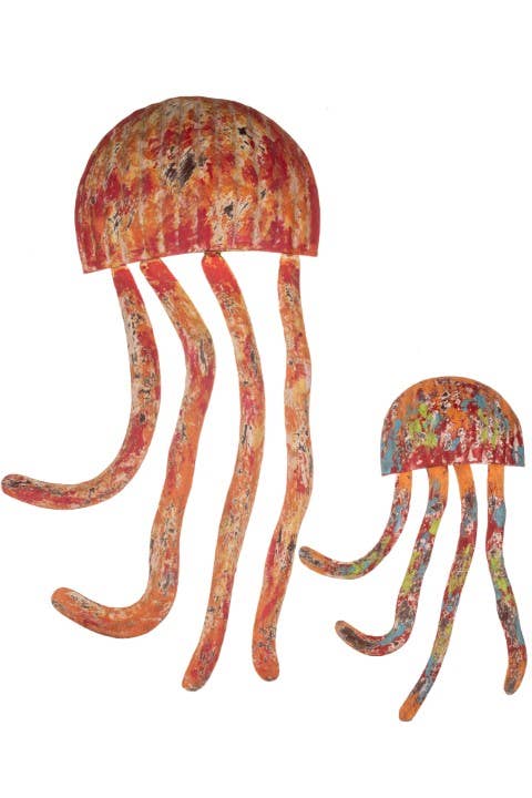 Coral Jelly Fish