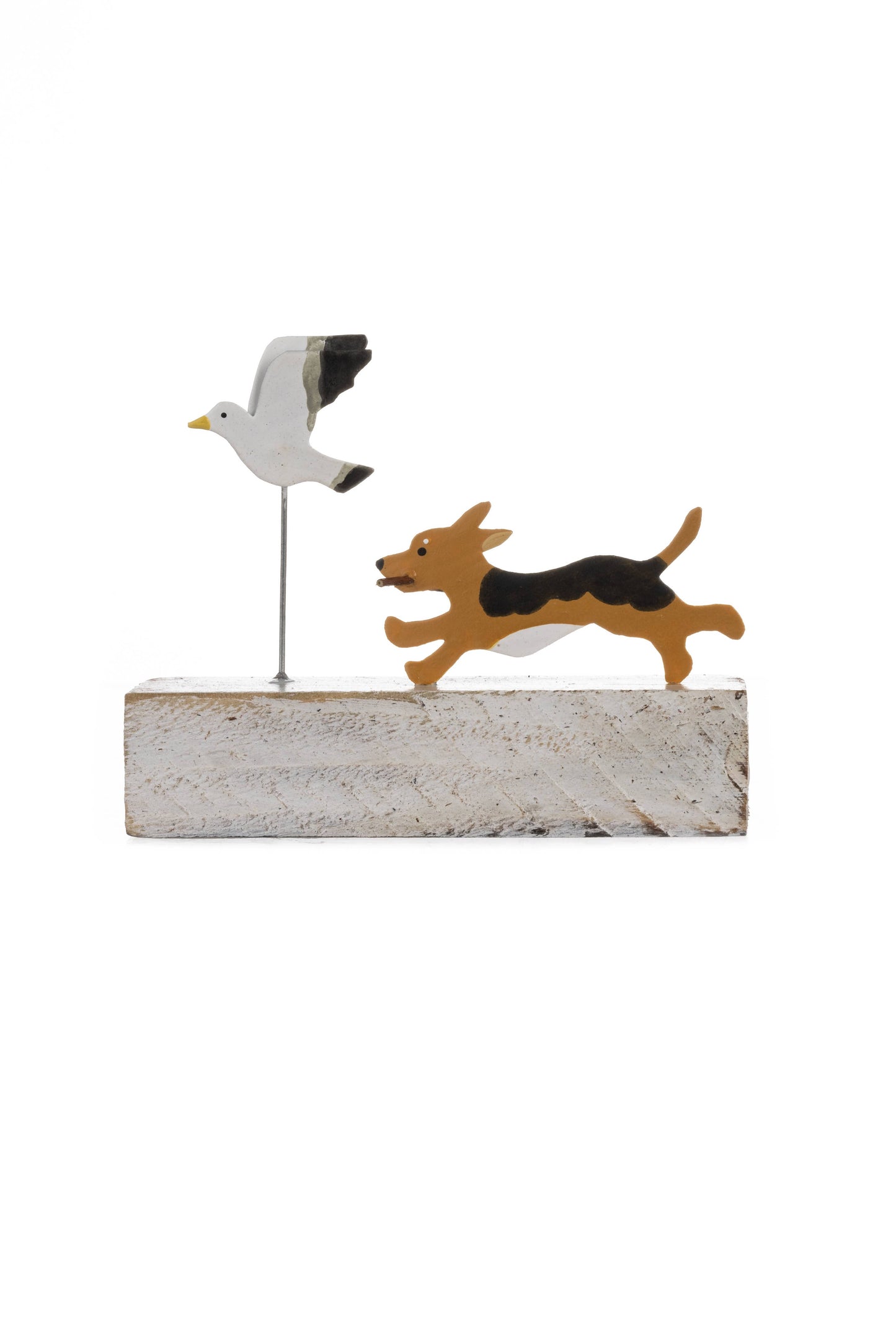Chasing Seagull On Block