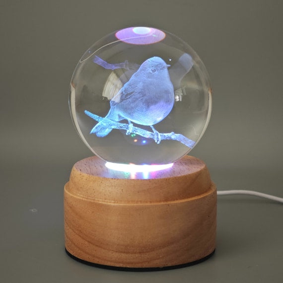 Rotating Robin Light