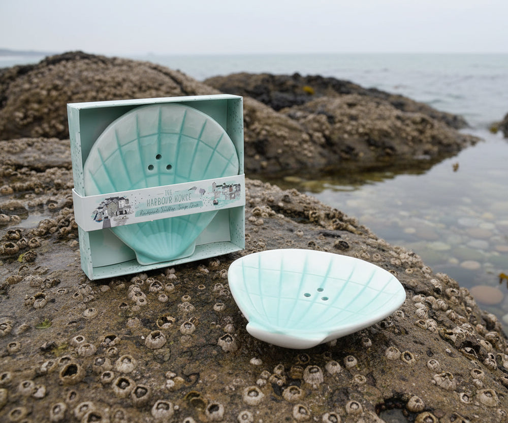 Rockpool Scallop Soap Dish