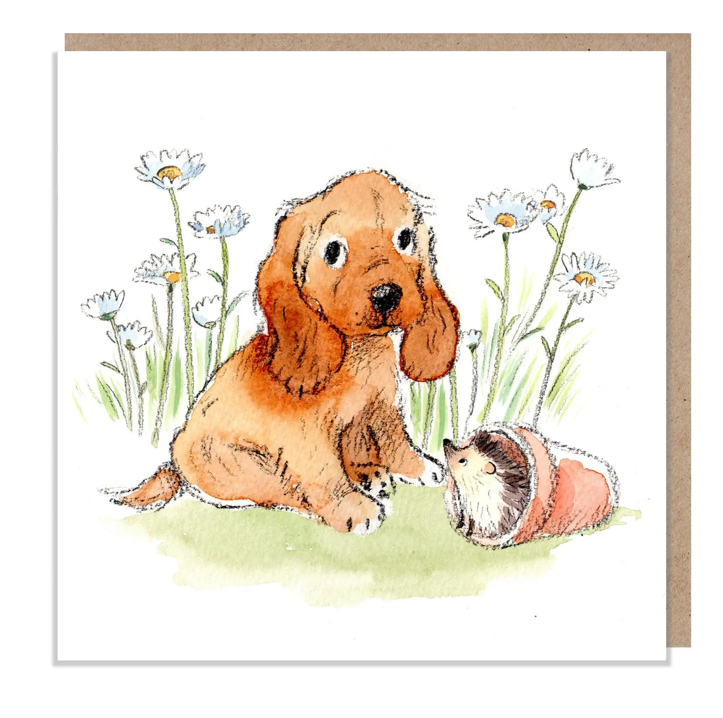 Sitting Cocker Spaniel With Daisies