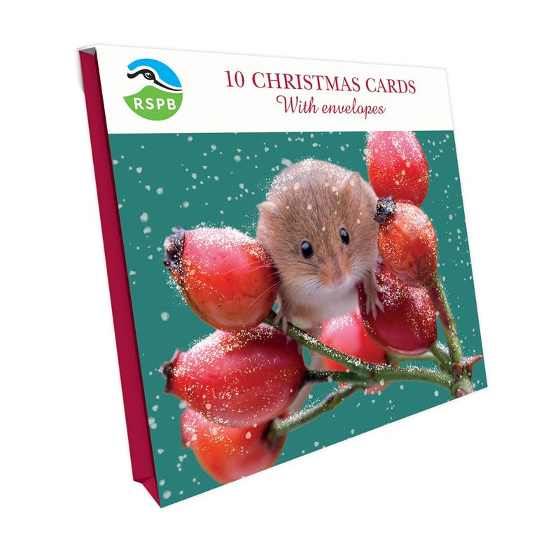 RSPB Harvest Mouse Christmas Cards 10 Pack