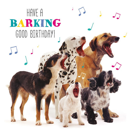 Pet Pawtrait Birthday Card - Dog Song