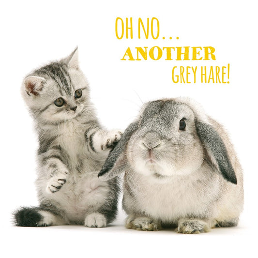 Pet Pawtrait Birthday Card - Grey Hares