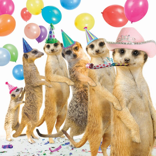 Pet Pawtrait Birthday Card - Conga