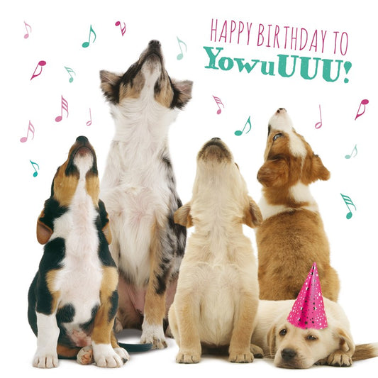 Pet Pawtrait Birthday Card - Howling Pups