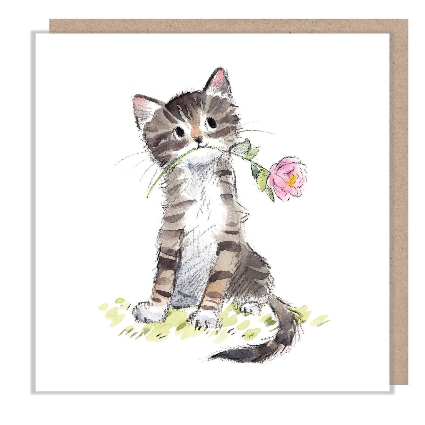 Cat With Flower